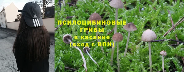 эйфоретик Лихославль