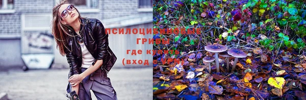 эйфоретик Лихославль