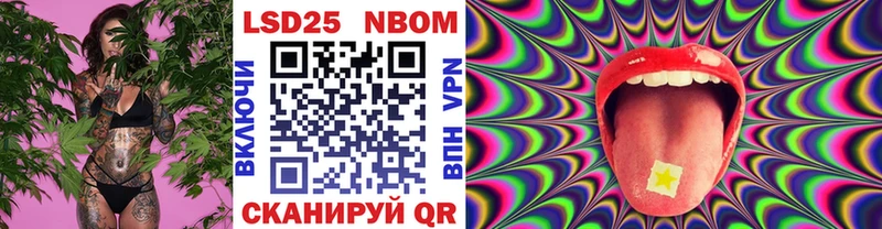 kraken tor  где купить наркоту  Рошаль  Марки N-bome 1500мкг 